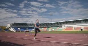 《神之天平》毛毛果怎么获得