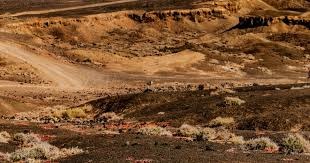 [中超]上海申花主场战胜武汉三镇