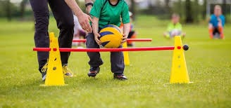 industry-portal-structure